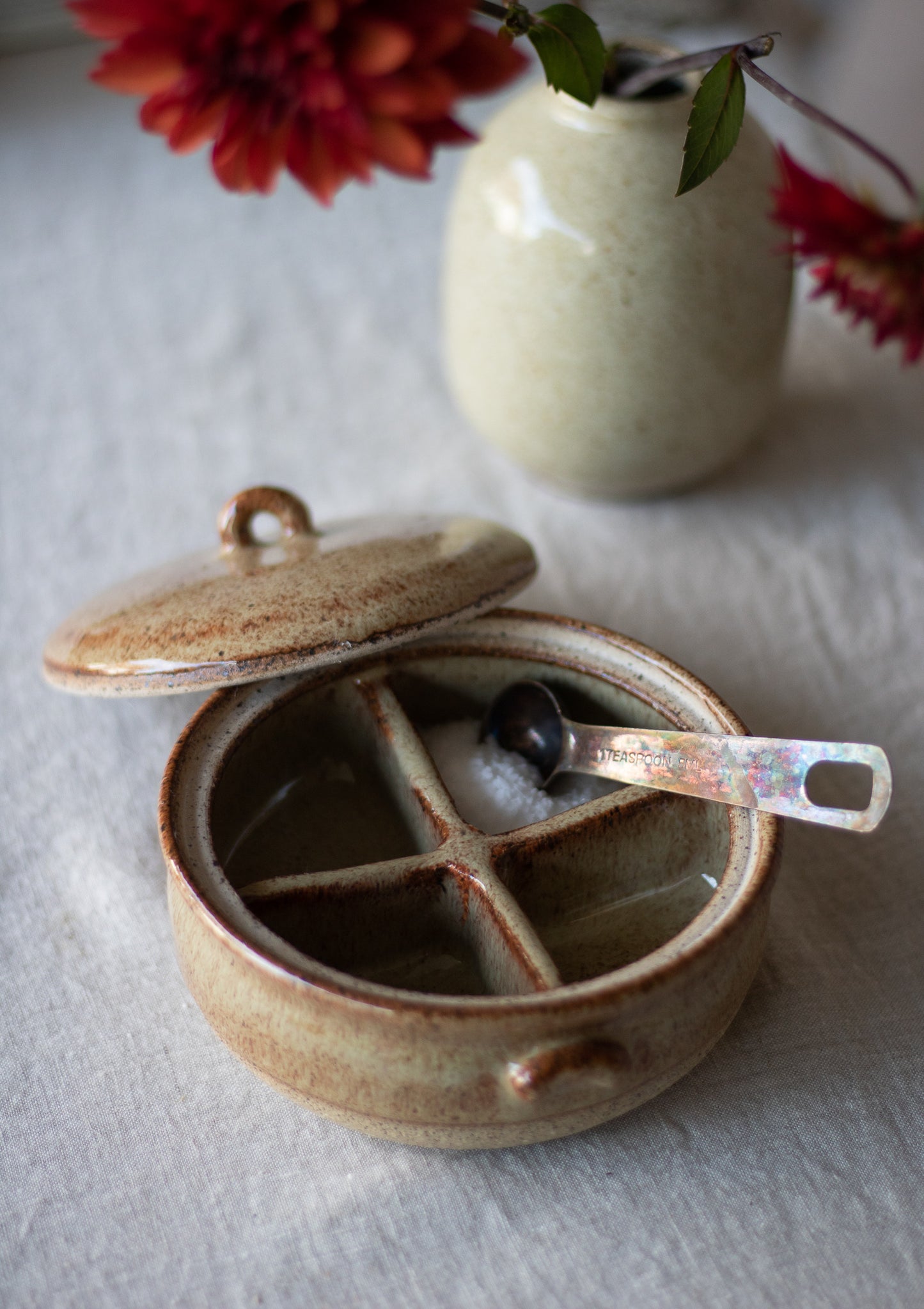 Rusted Mushroom Compartment Salt or Spice Cellar