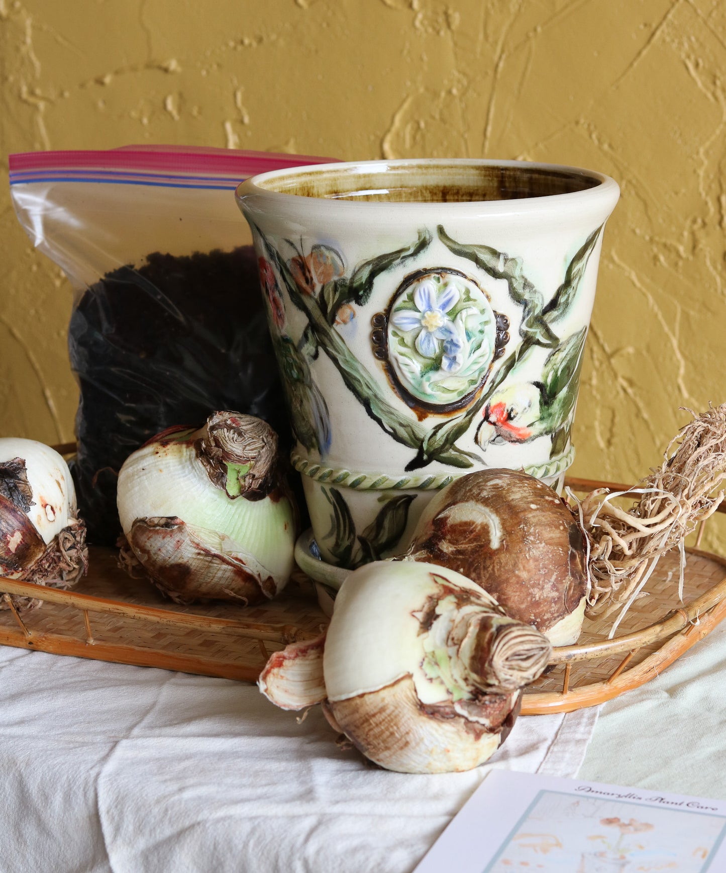 Hummingbird Plant Pot + Amaryllis Kit