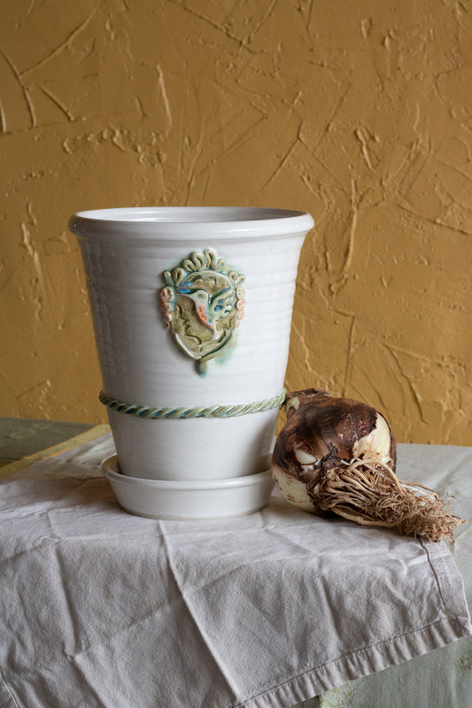 Hummingbird Plant Pot + Amaryllis Kit