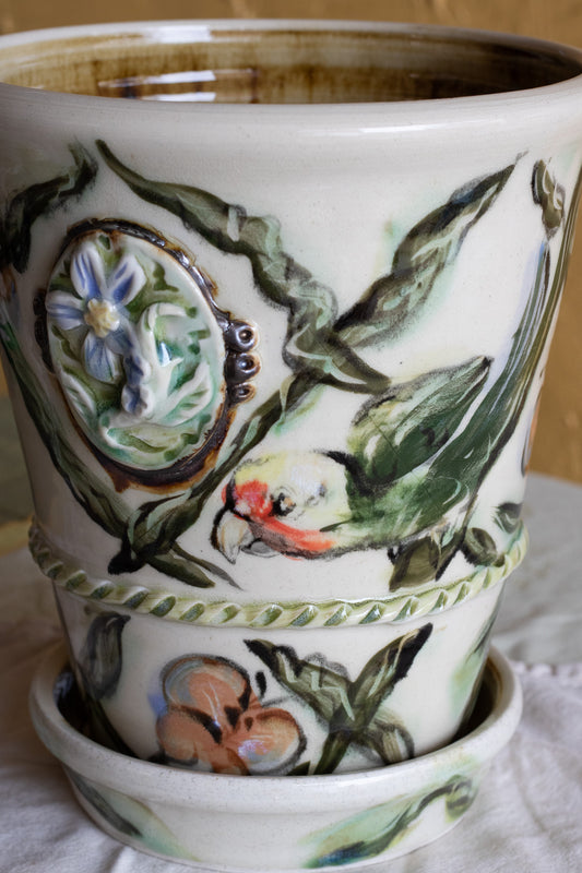 Carolina Parakeet Plant Pot + Amaryllis Kit