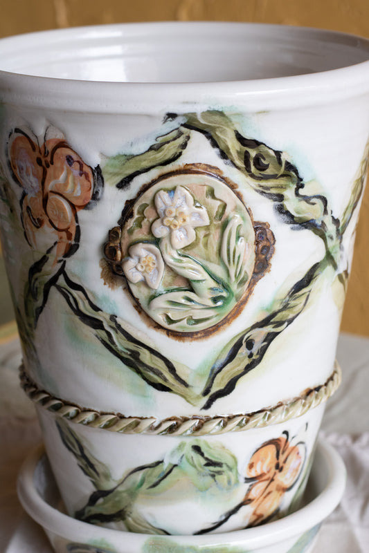 Finches Plant Pot + Amaryllis Kit