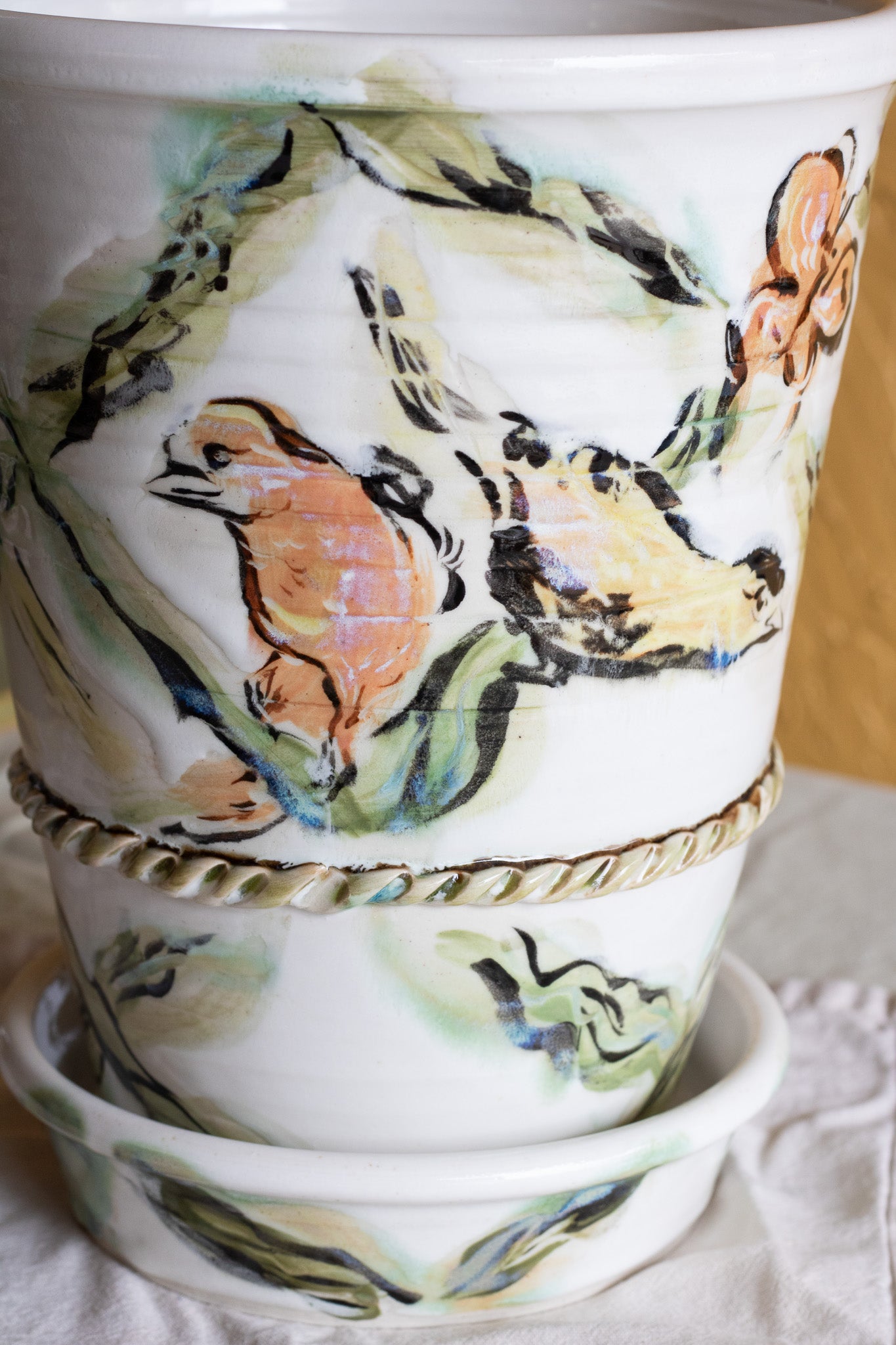 Finches Plant Pot + Amaryllis Kit