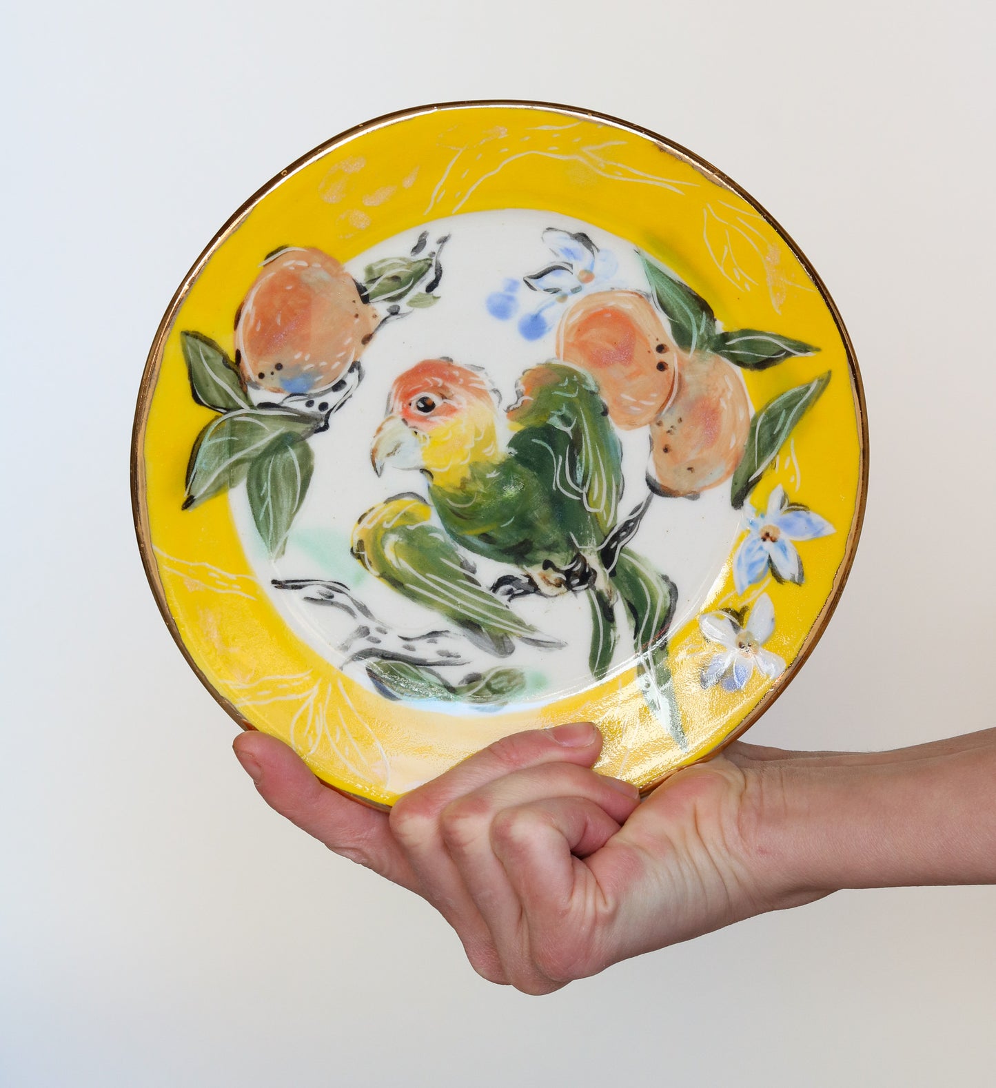 Carolina Parakeet Perched over Orange Branch Plate (left facing)