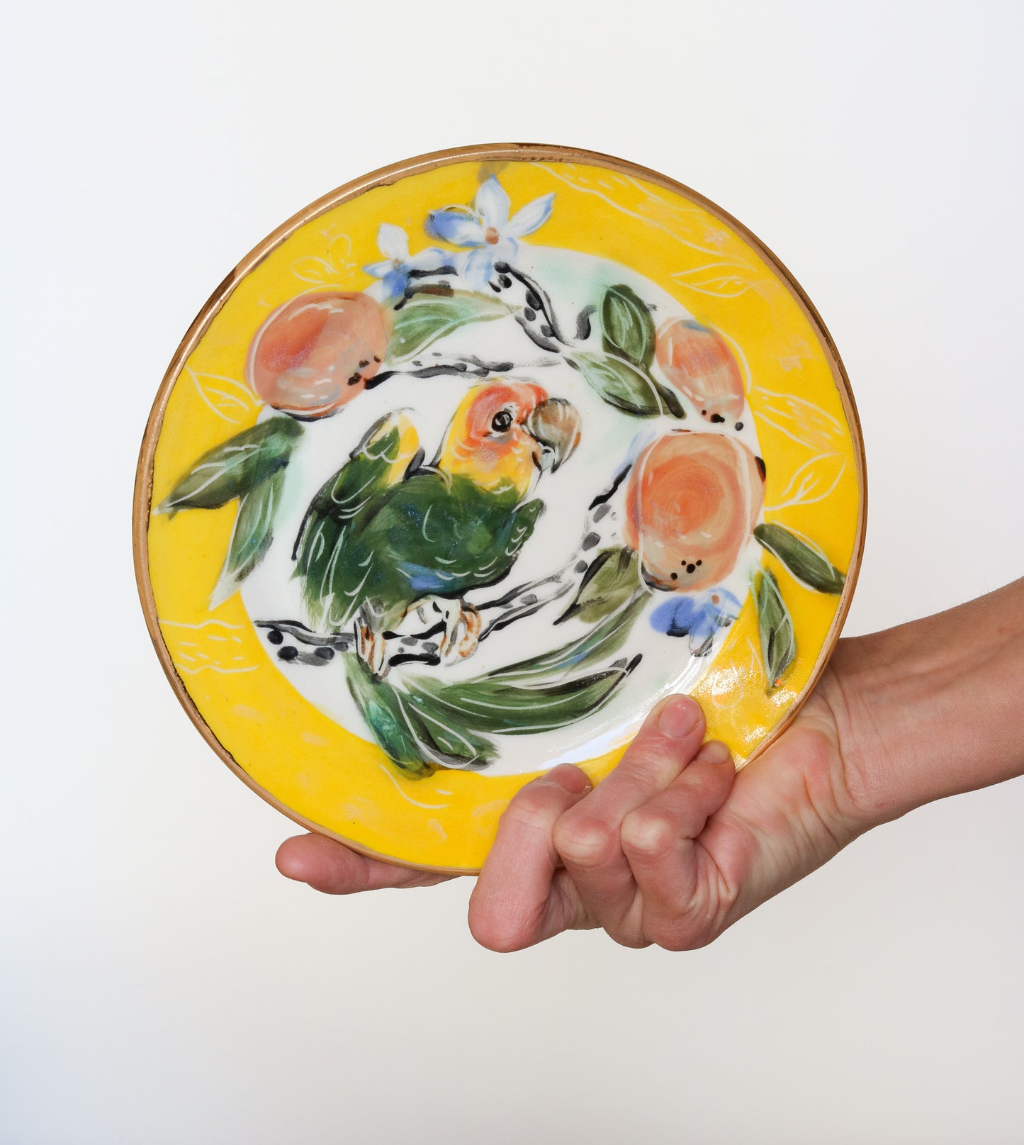 Carolina Parakeet Perched over Orange Branch Plate (right facing) *Second Quality