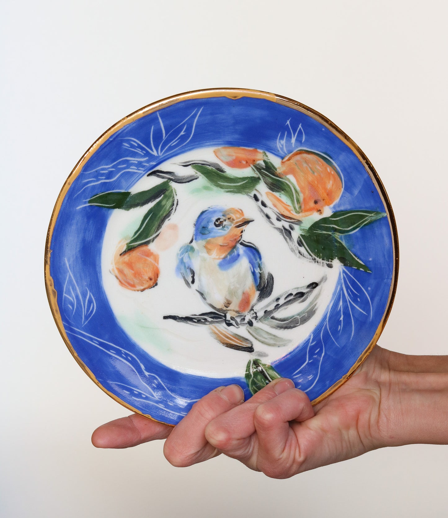 Barn Swallow Perched with Orange Plate