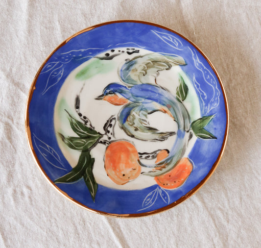 Barn Swallow in Flight with Orange Plate