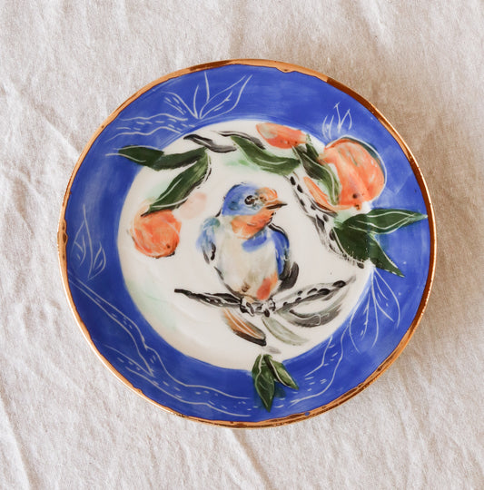 Barn Swallow Perched with Orange Plate