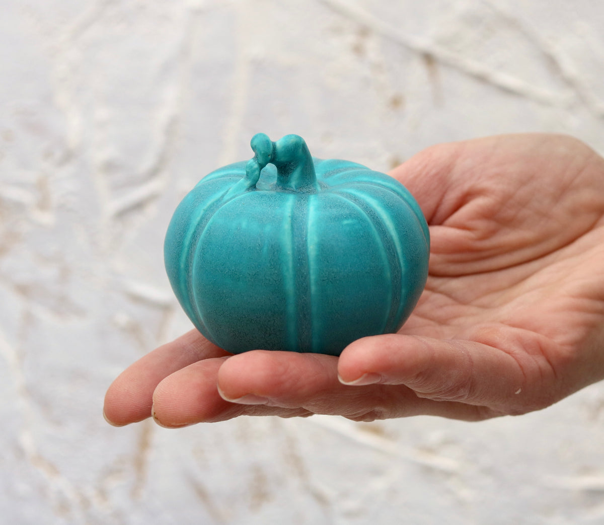 Mini Pumpkin Turquoise (1)