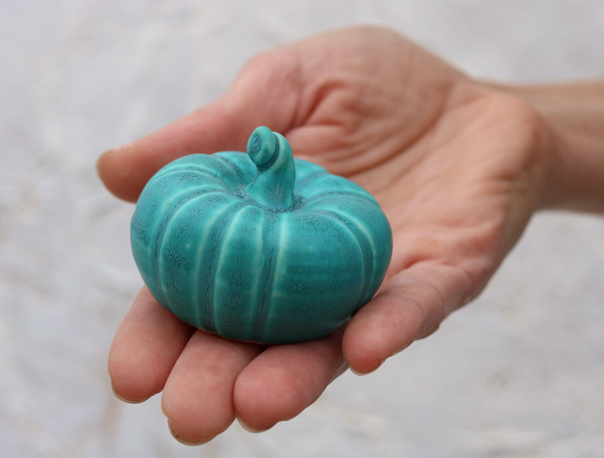 Mini Pumpkin Turquoise (3)
