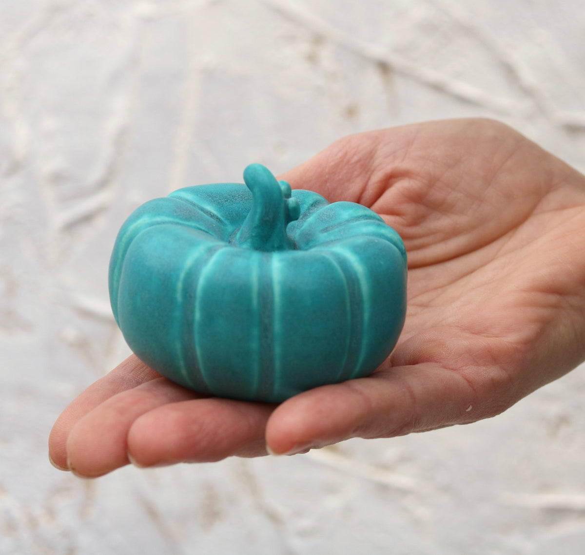 Mini Pumpkin Turquoise (2)
