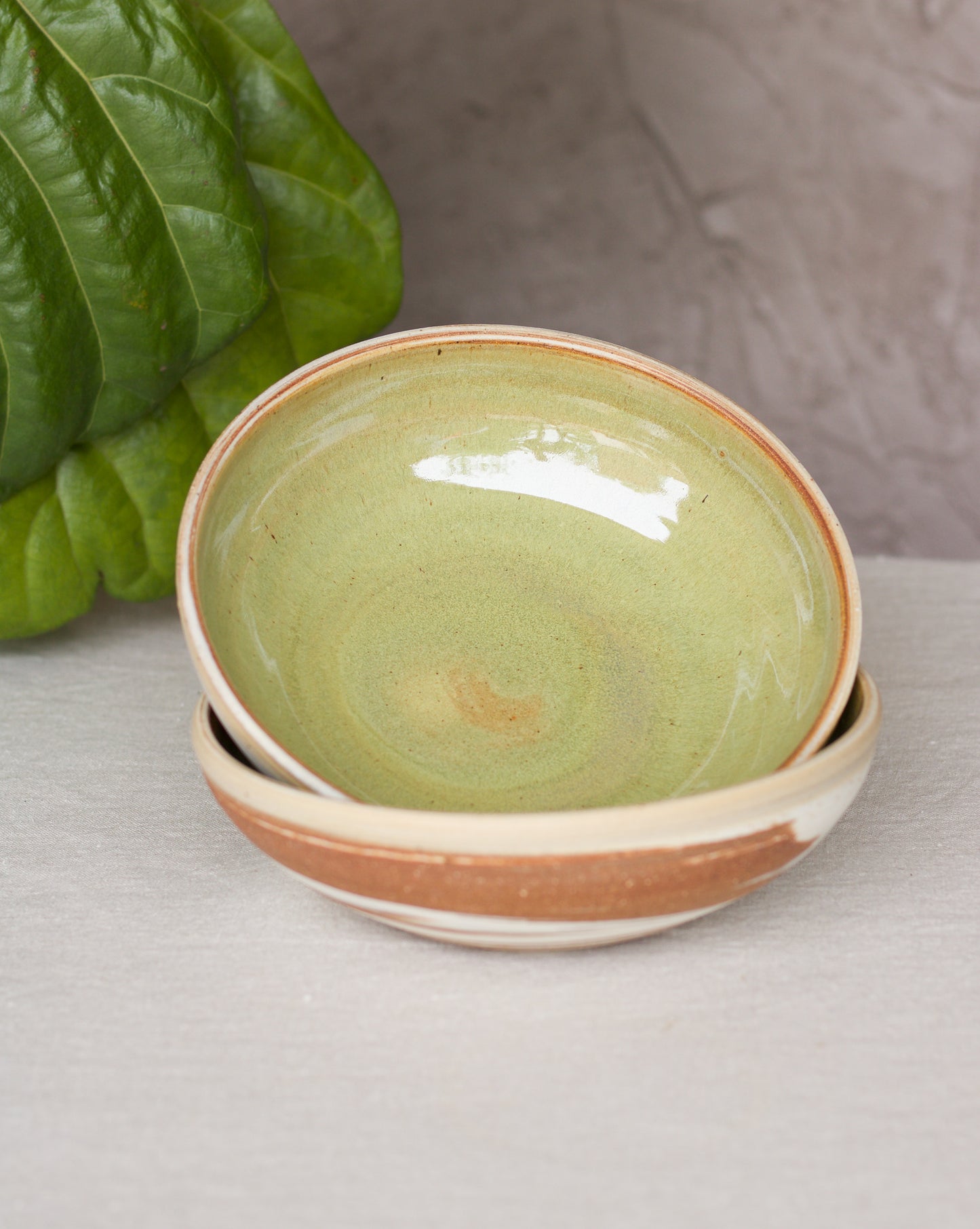 Shallow Breakfast Bowl in Sage Green